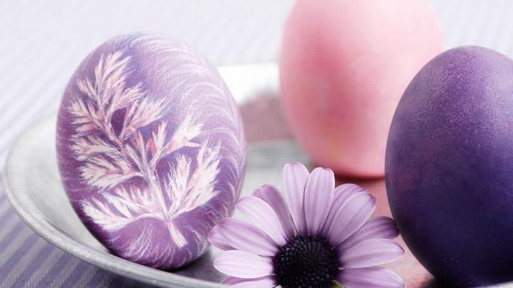 Colorful Designed Egg With Sun Flower in Plate